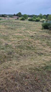 Bild 3 - Grundstück in Petershagen