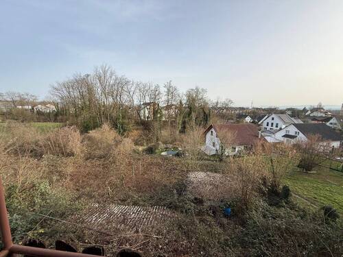 IMG_3005.jpeg - 5 Zimmer Mehrfamilienhaus, Wohnhaus zum Kaufen in Efringen-Kirchen