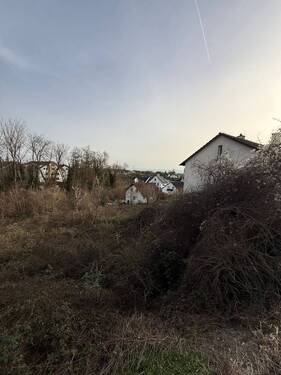 IMG_3010.jpeg - 