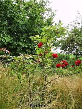 Bild 15 - 