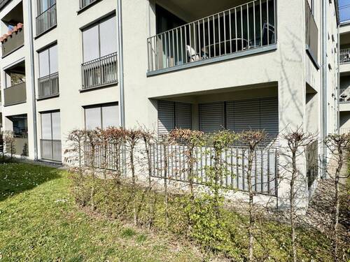 Grünfläche rund ums Haus - 