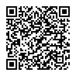 QR-Code - 