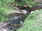 Idyillische Scherzach / Bach - 