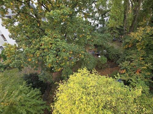 Ausblick vom Balkon 2 - 3 Zimmer Etagenwohnung in Harburg - Hamburg Heimfeld