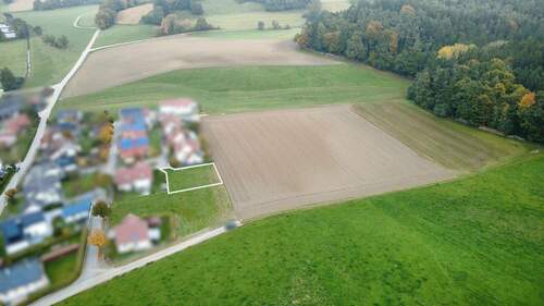 Ansicht Waldrand - Grundstück zum Kaufen in Adelzhausen