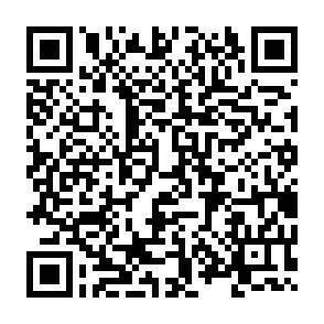 QR-Code - 