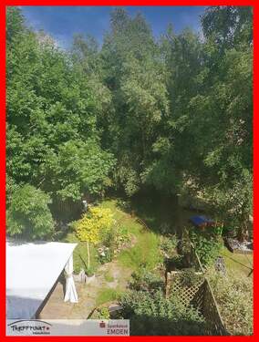 Blick in den Garten (Sommer) - 