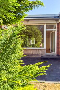 Garten Impression - 