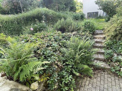 Garten - 