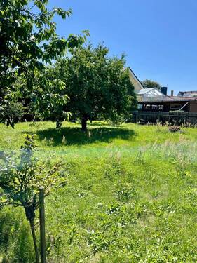 Garten - 
