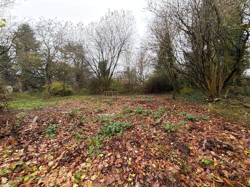 IMG_9666 - Ihr Traumhaus beginnt mit diesem Grundstück