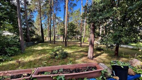 Blick von Terrasse - 