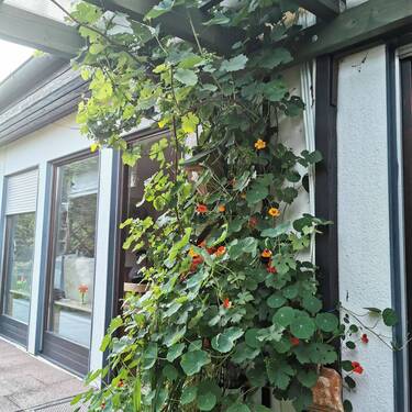 Terasse.jpg - 4 Zimmer Etagenwohnung in Kalchreuth