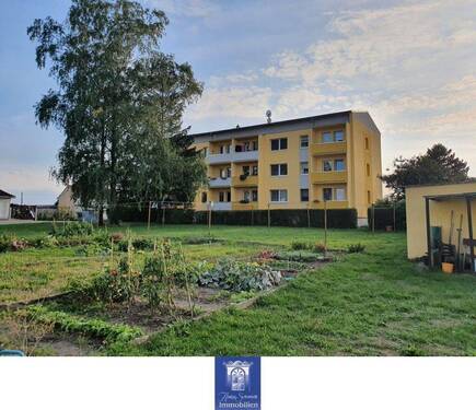 Blick zum Haus - 