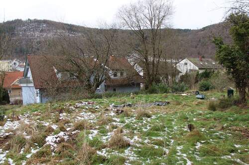 Weitblick - Grundstück zum Kaufen in Eberbach