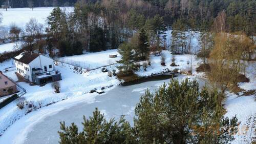 WhatsApp Image 2026-02-04 at 13.14.44 (7) - 