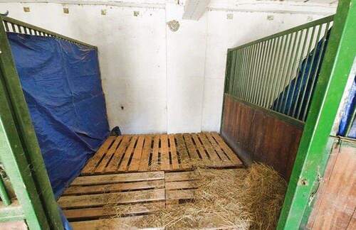 Stall - 