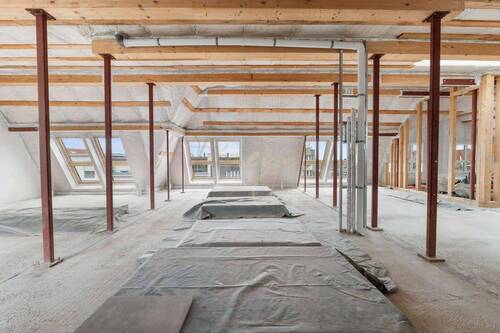 Dachgeschossrohling - 