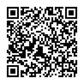 QR-Code - 