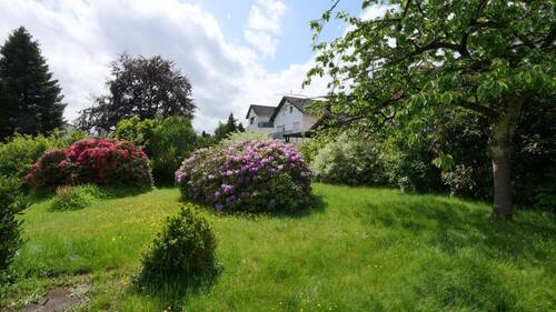Garten - Grundstück in Bad Lippspringe