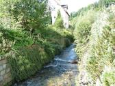 Angrenzender Koserbach - 