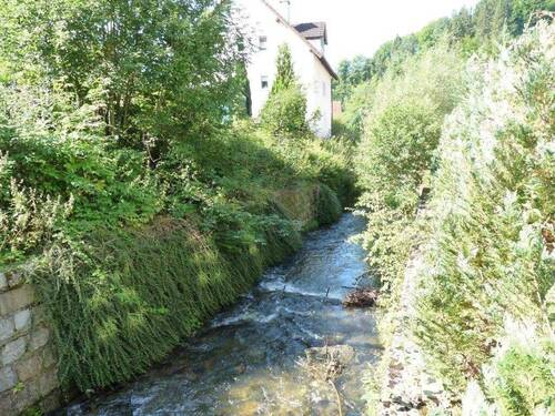 Angrenzender Koserbach - 