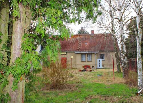 IMG_3020.JPG - Reserviert - Einfamilienhaus in Farnstädt sucht neuen Eigentümer - geräumiges Ausbauhaus + weitläufiges Grundstück inklusive
