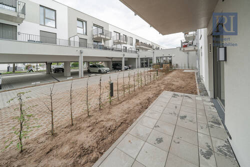 Terrasse - 