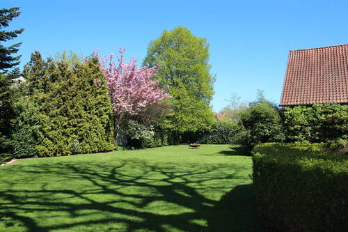Bild 19 - 