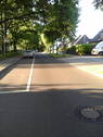 alleeartige Strasse - 