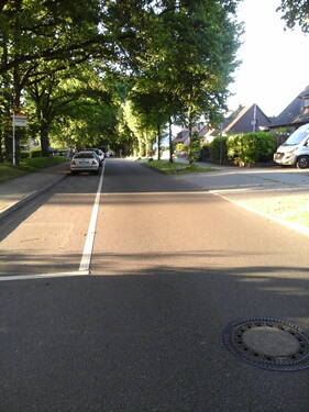 alleeartige Strasse - 