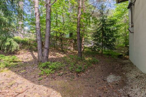 Eigenes Stück Wald (2) - 