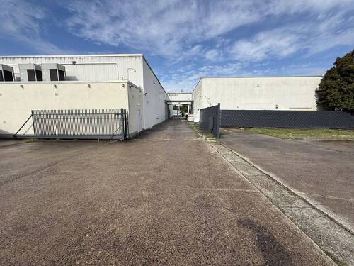 Flexible Außenfläche zur Miete in Offenbach – ideal für Fuhrpark, Lager und Logistik - Halle in Offenbach am Main