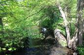 Seeve - 