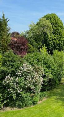 Garten - 