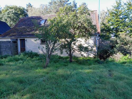 Wohnhaus außen 4 Garten-Ansicht.jpeg - Einfamilienhaus mit 110,00 m² in Wiesenburg/Mark zum Kaufen