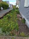Vorgarten - 
