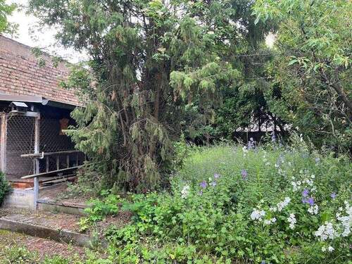 Garten hinter dem Haus - 