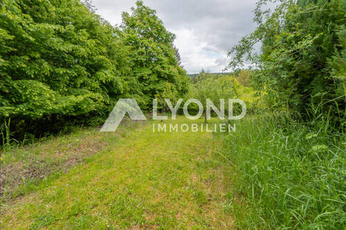 Garten - 