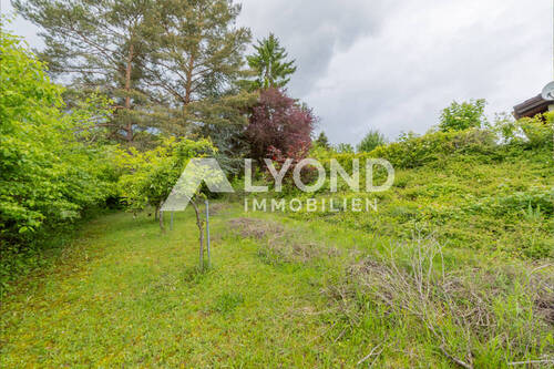 Garten - 