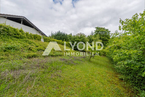 Garten - 