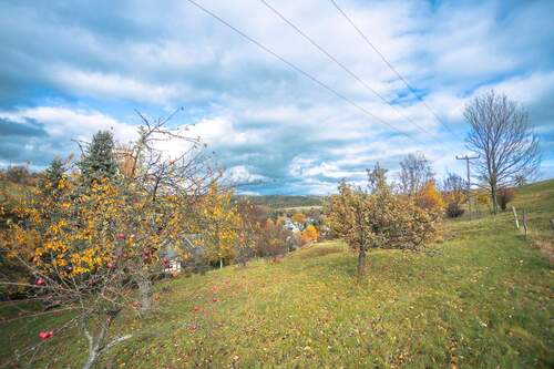 Großes Grundstück - 