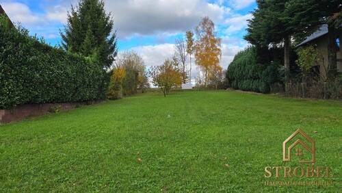 Grundstück Schönfeld.jpg - Familienidyll im Grünen – Baugrundstück in Schönfeld-Weißig