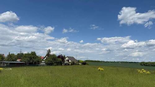 2025-05-26 13.02.21 - 