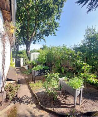Gartenimpressionen - 