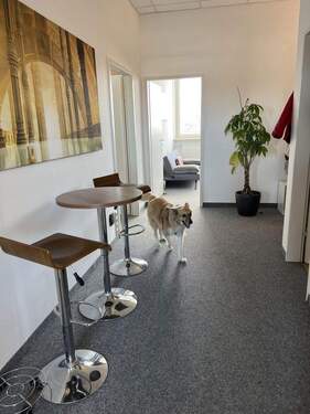 Bild 10 - 