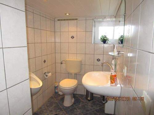 WC im Keller - 