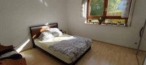 IMG_20251024_111157.jpg - 