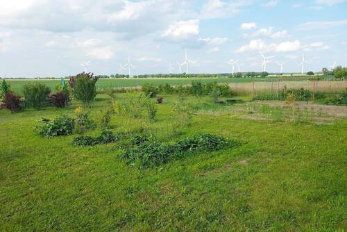 Weitblick - 