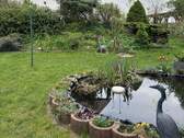 Garten mit Teich - 